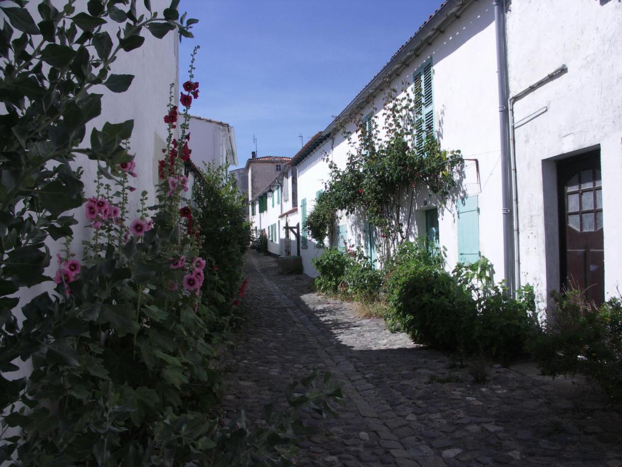 Maison Antioche Saint-Martin-de-Re ภายนอก รูปภาพ